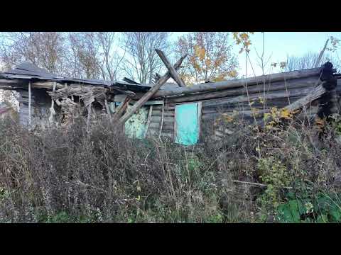 Видео: Живая или нет - дер Кудеверь, Псковская область — жизнь русской деревни: заброшки, хозяйство надежда