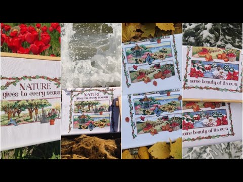 Видео: Dimensions "Nature gives". Сезонный процесс 2024 года