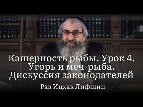 Видео: Кашерность рыбы. Урок 4. Угорь и меч-рыба. Дискуссия законодателей