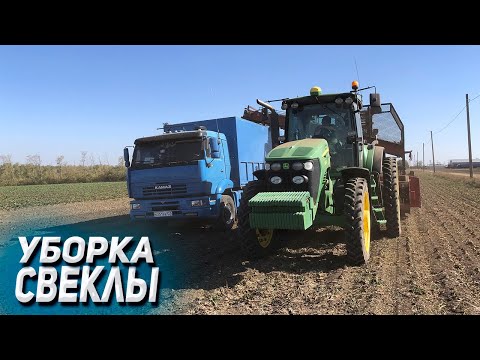 Видео: Выживаем на камазе на свекле 12.102024