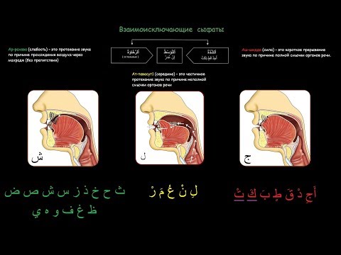 Видео: 2 курс. 16 урок. Аш-шидда, ар-рохава, ат-тавасут1