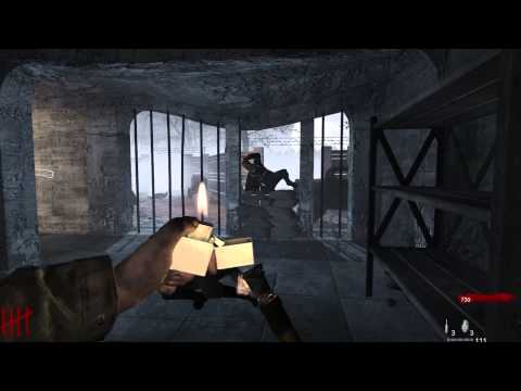 Видео: Выживание Call of Duty World At War- Зомби нацисты или прохождение карты