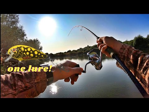 Видео: 🐟С един воблер по Марица. Риболов на Кефал, Распер и малко Сомче🐟 #asp #chub #catfish