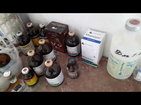 Видео: Ешкі аптечкасы құртқа, суыққа, витаминдер