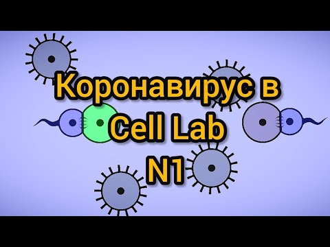 Видео: Коронавирус в Cell Lab, N1