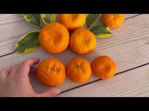 Видео: Мандарин "Уншиу" вариегатный / С. unshiu "Foliis variegatis" 🪴