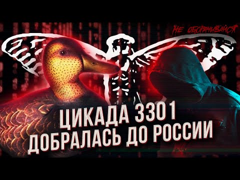 Видео: ВОЗВРАЩЕНИЕ САМОЙ ТАИНСТВЕННОЙ ЗАГАДКИ  ИНТЕРНЕТА. Цикада 3301