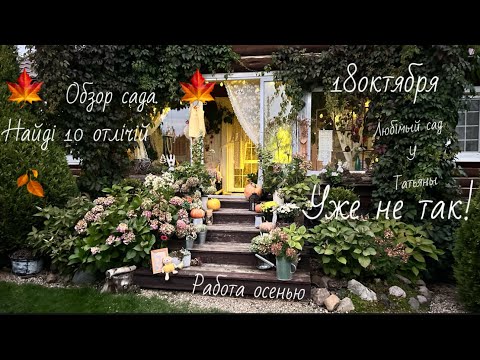 Видео: Быстрый обзор осеннего сада. Неожиданно вышла солнышко, запели птицы в 18 октября 2025 г.