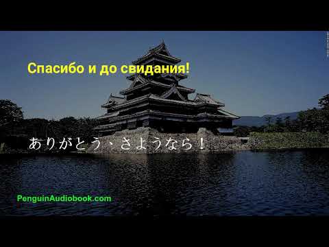 Видео: Медленная японская беседа для начинающих
