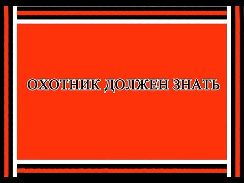 Видео: Охотнику в помощь Нахождение с оружием в охотугодьях Судебная практика