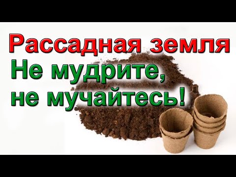 Видео: КАК ВЫБРАТЬ НАДЕЖНЫЙ ГРУНТ ДЛЯ РАССАДЫ