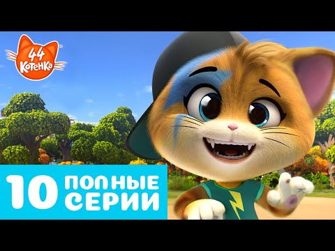 Видео: 44 Котёнка | 10 ПОЛНЫЕ СЕРИИ 🐈🐾 |