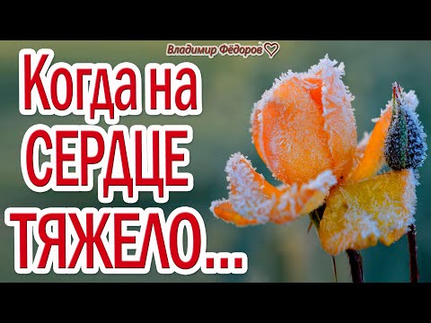 Видео: "Когда На Сердце Тяжело..." – Слушай эти Замечательные Стихи для Души!