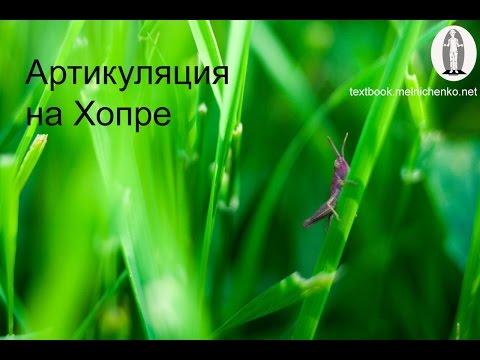 Видео: Артикуляция на Хопре