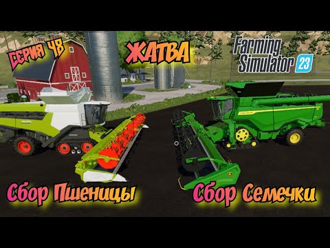 Видео: Жатва//Сбор пшеницы//Сбор Семечки//Farming Simulator 23