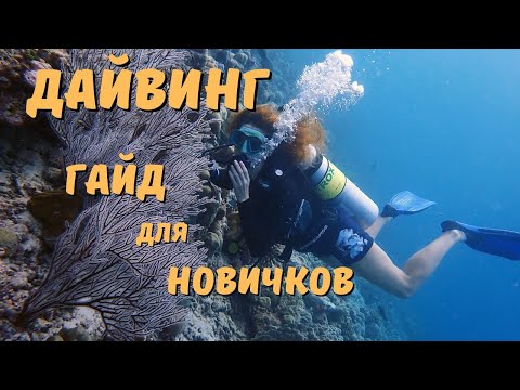 Видео: ДАЙВИНГ. Как начать и 10 самых частых вопросов от новичков