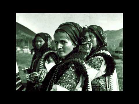 Видео: Світит місяц