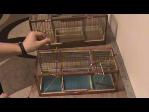 Видео: Устройство,настройка и обзор простейшего западка от Темки Птицелова