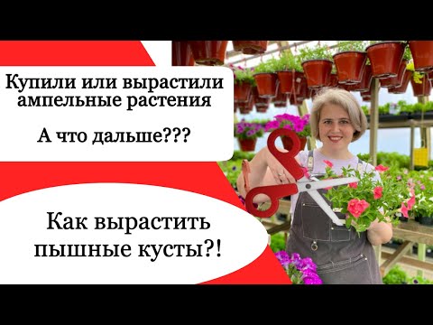 Видео: Что обязательно нужно сделать до высадки рассады цветов???