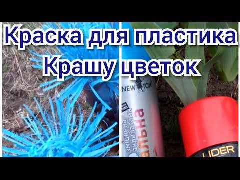 Видео: Чем красить пластиковую ПЭТ бутылку.