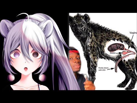 Видео: Животные, получившие средний палец от эволюции | Casual Geographic React