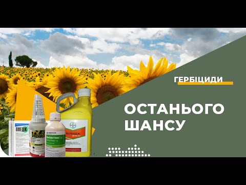 Видео: Геліантекс, Челендж, Пледж і Сальса. Чи варто купувати і навіщо?