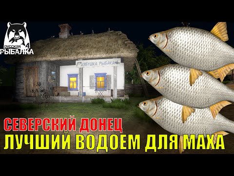 Видео: ИДЕАЛЬНЫЙ ВОДОЁМ ДЛЯ БЕШЕННОГО ФАРМА И ПРОКАЧКИ МАХОВОЙ ЛОВЛИ В РУССКОЙ РЫБАЛКЕ 4 РР4
