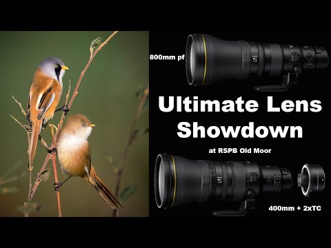 Видео: Ultimate Lens Showdown в RSPB Old Moor