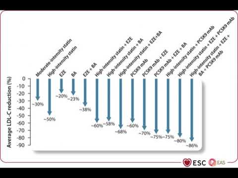Видео: Дислипидемии: обновление 2025 г. рекомендаций ESC/EAS 2019 по лечению дислипидемий (горячий обзор)
