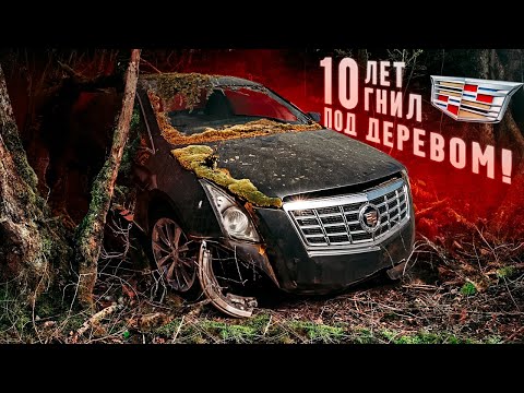 Видео: ОЖИВЛЕНИЕ Cadillac. 10 лет гнил под деревом