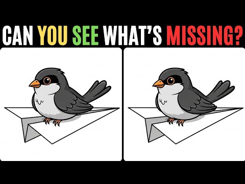 Видео: Найди отличия! 🌟 Легко или невозможно? 🤯💡 #304