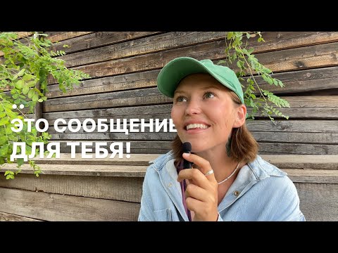 Видео: ВАЖНОЕ ПОСЛАНИЕ ОТ ТВОИХ ДУХОВНЫХ НАСТАВНИКОВ | исцеляющий поток