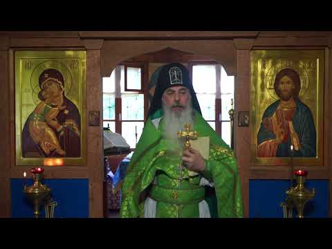 Видео: Прп. Серафим не хочет, чтобы МЫ ПРЕВРАТИЛИСЬ В ЧЁРНЫЕ ГОЛОВЕШКИ! Как ЭТОГО ИЗБЕЖАТЬ?