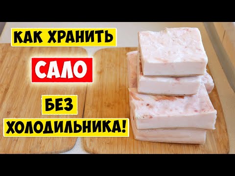 Видео: Солим САЛО / Как хранить Сало без Холодильника / Сало в Банке