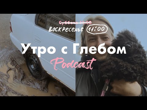 Видео: УТРО С ГЛЕБОМ - Островок спокойствия - 5 октября