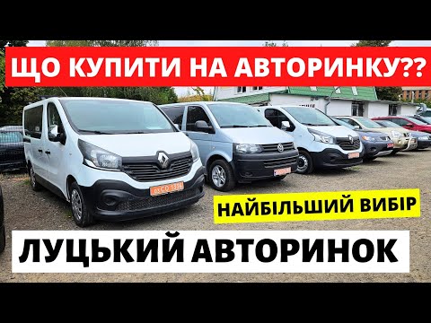 Видео: ПОПУЛЯРНІ БУСИ ТА ЧОБІТКИ / ЛУЦЬКИЙ АВТОРИНОК / 03.10.2024р #автобазар  #автопідбір #автопідбірлуцьк