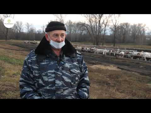 Видео: Кугарчинский р о, с  Мраково FullHD