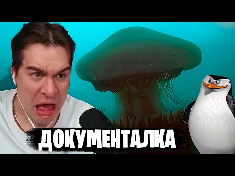 Видео: БРАТИШКИН СМОТРИТ👀ДОКУМЕНТАЛКУ ПРО БОЛЬШИХ МЕДУЗ, КИТОВ, ПИНГВИНОВ и АКУЛ