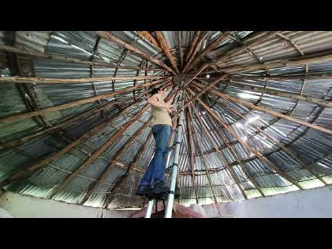 Видео: ОПАСНОЕ спасение Черной Мамбы!!!