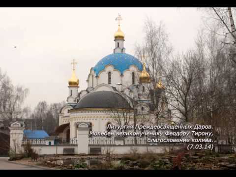 Видео: Литургия Преждеосвященных Даров. Молебен, благословение колива (7.03.14)
