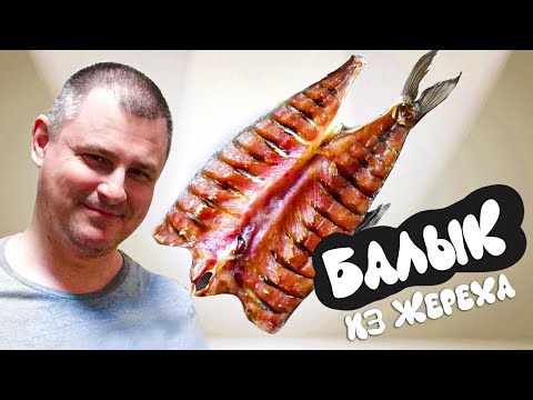 Видео: Балык из жереха