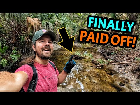 Видео: Моё долгожданное возвращение в старый ручей не разочаровало! Покопавшись в ручье исторического го...