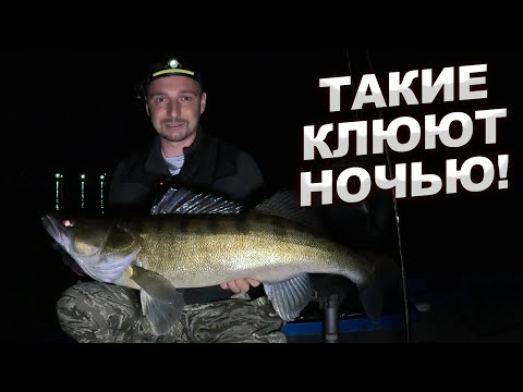Видео: ТАКИЕ СУДАКИ КЛЮЮТ НОЧЬЮ!