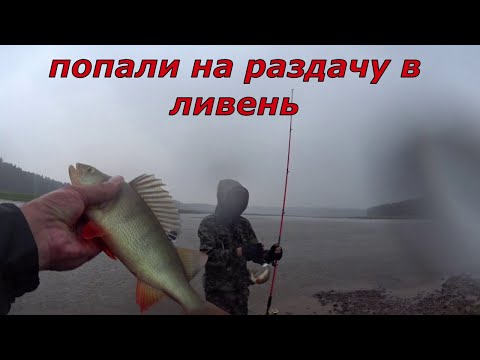 Видео: Дикий жор окуня в ливень, попали на раздачу, промокли на сквозь.