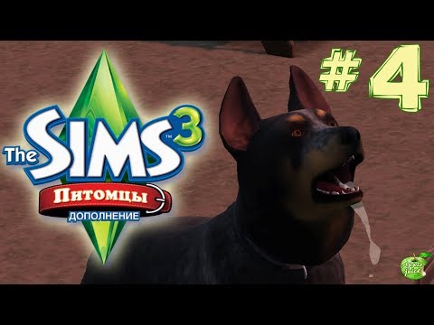 Видео: The Sims 3 Питомцы #4 Слюнтяй
