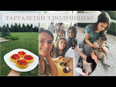 Видео: ТАКИХ СМАЧНИХ Я ЩЕ НЕ ЇЛА 🍓 Рецепт тарталеток з полуницею | ПІКНІК під ДОЩЕМ