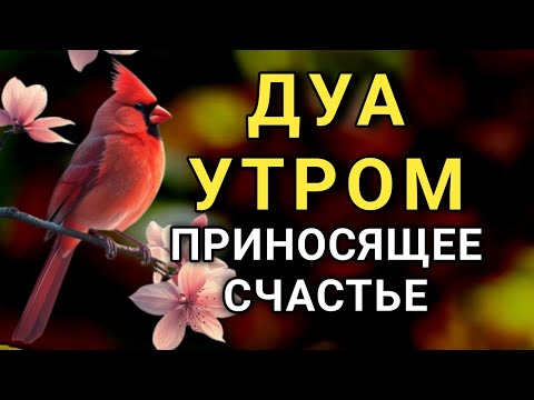 Видео: 🔑 ДУА ДЛЯ ПРИВЛЕЧЕНИЯ СЧАСТЬЯ И УДАЧИ! 🤲✨💯