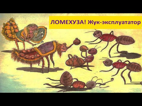 Видео: ЛОМЕХУЗА! Как один жучок может уничтожить целый муравейник? Наталья Носова