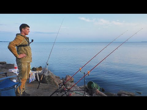 Видео: Ловим леща на Финском заливе. Не успеваю следить за поклевками!