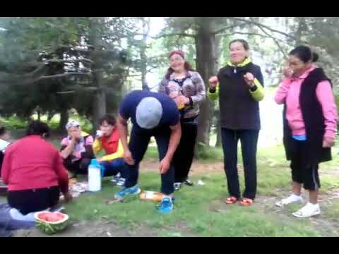 Видео: Олон булак 79 алга